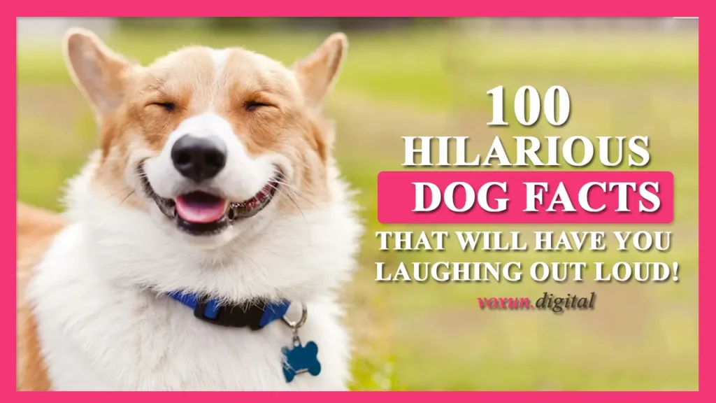 100 Hilarious Dog Facts That Will Have You Laughing Out Loud!