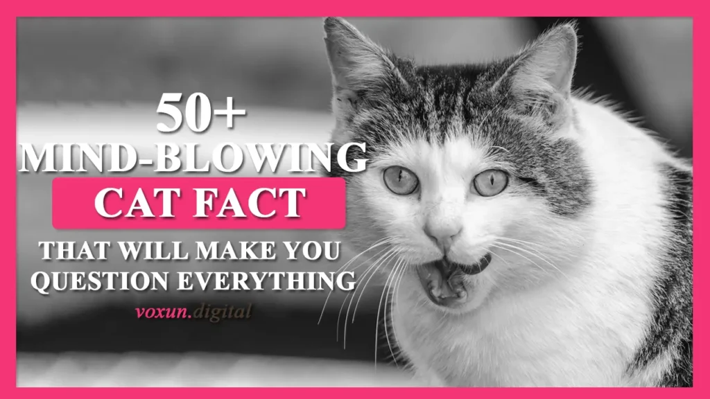 100 CAT FACTS