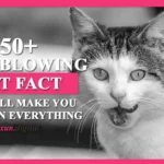 100 CAT FACTS